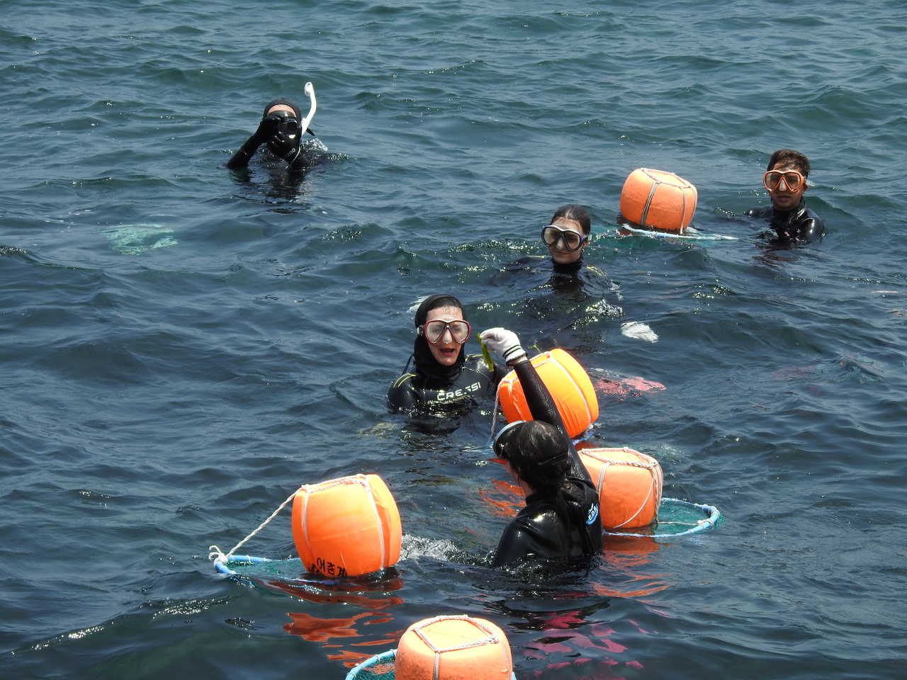 International visitors take part in an experience with female divers known as haenyeo during a working vacation program on Jeju Island on June 29. (Newsis)