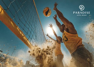 Packages and promotions 