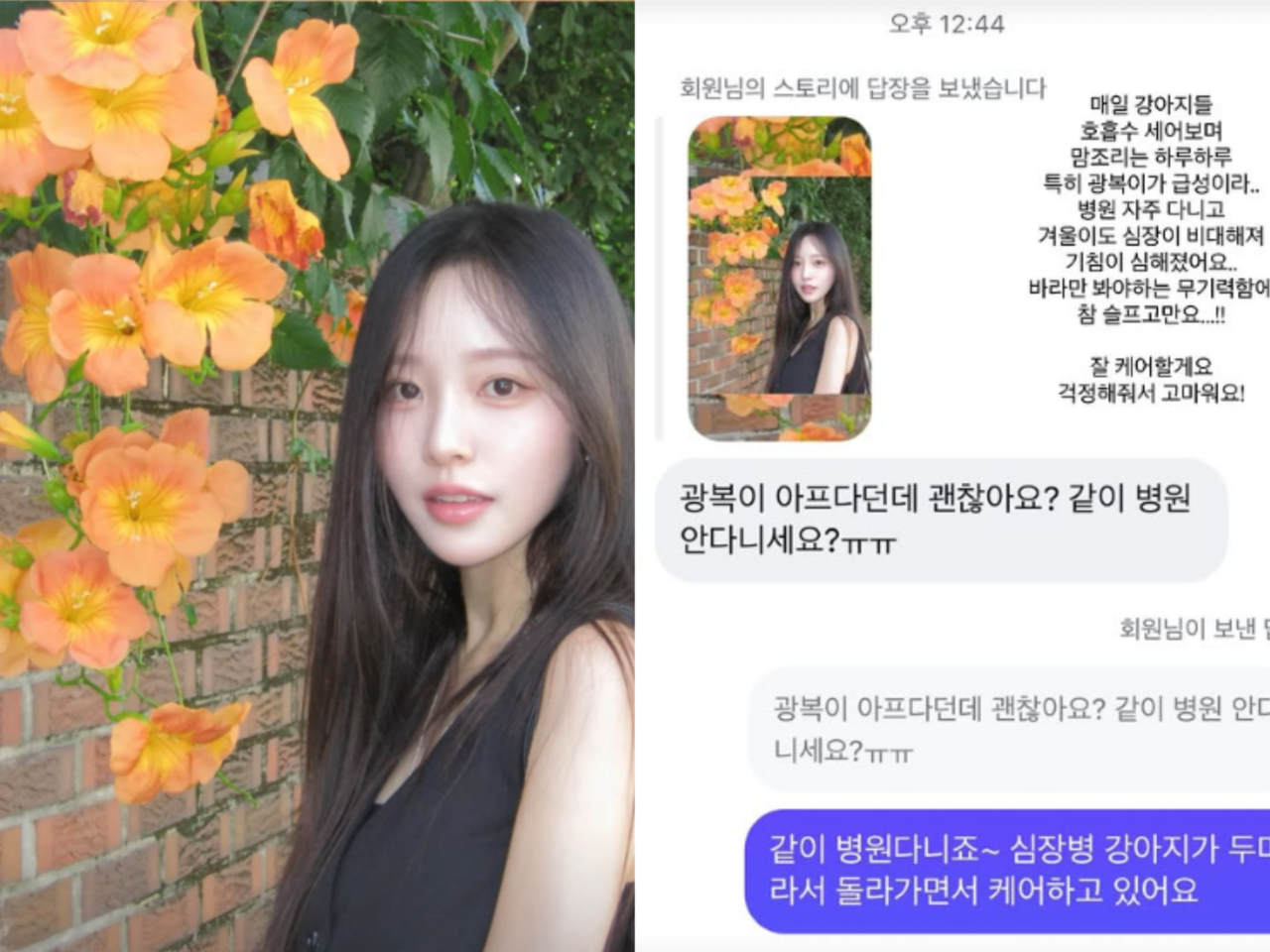 사진=이솔이 채널