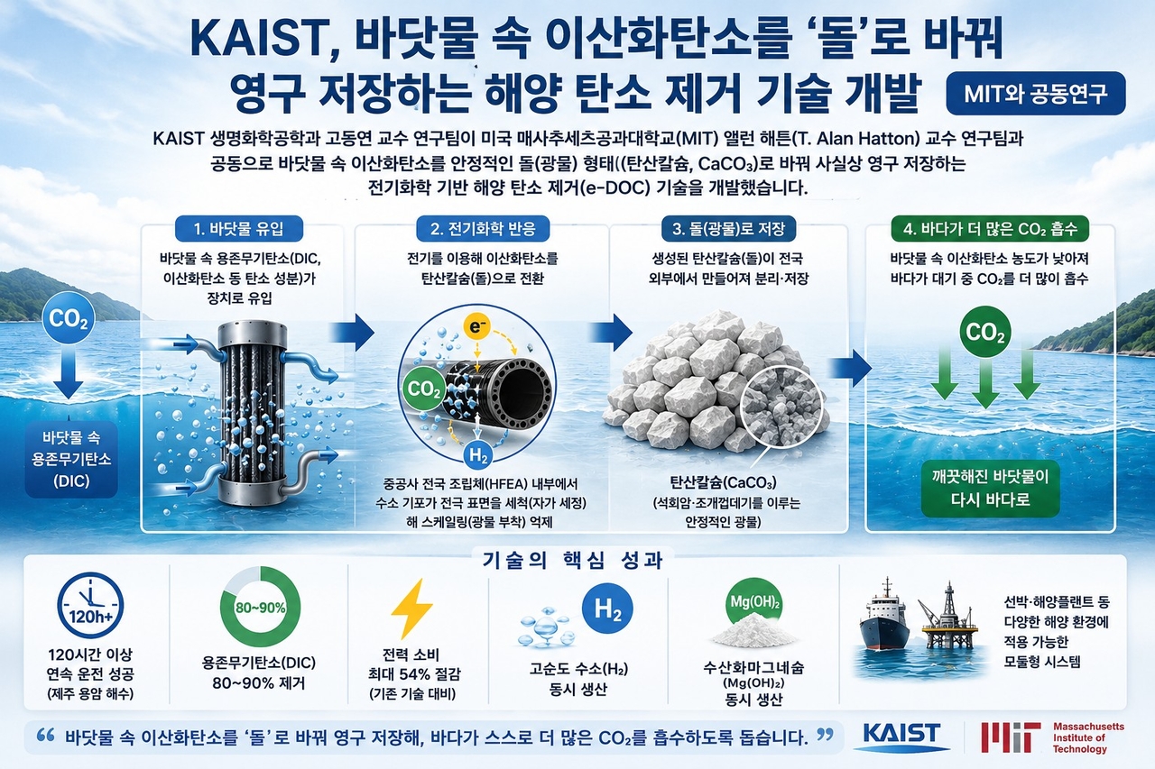 연구 이미지.[KAIST 제공]