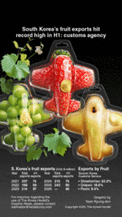 [Graphic News] S. Korea’s fruit exports hit record high in H1: customs agency