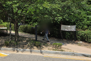 [현장] 40도 폭염에도 ‘난 괜찮아’…사망 등산객 속출에도 끊이지 않는 산행 [세상&]
