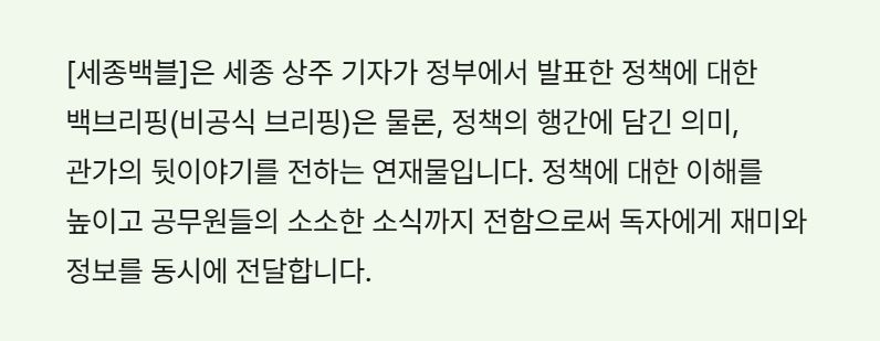 세종백블