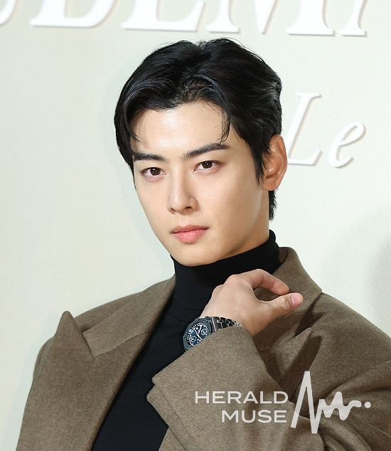 차은우/사진=헤럴드뮤즈 DB