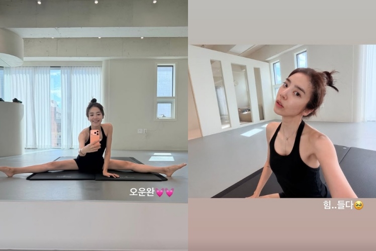손담비 채널