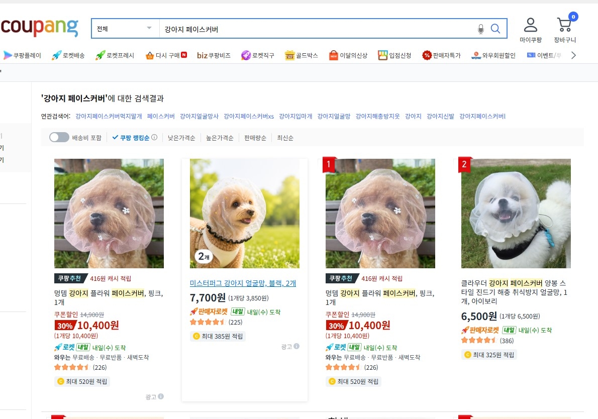 A screengrab from Coupang shows face covers for pet dogs listed for sale. (Coupang)