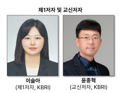 이번 연구를 수행한 한국뇌연구원 연구진.[한국뇌연구원 제공]
