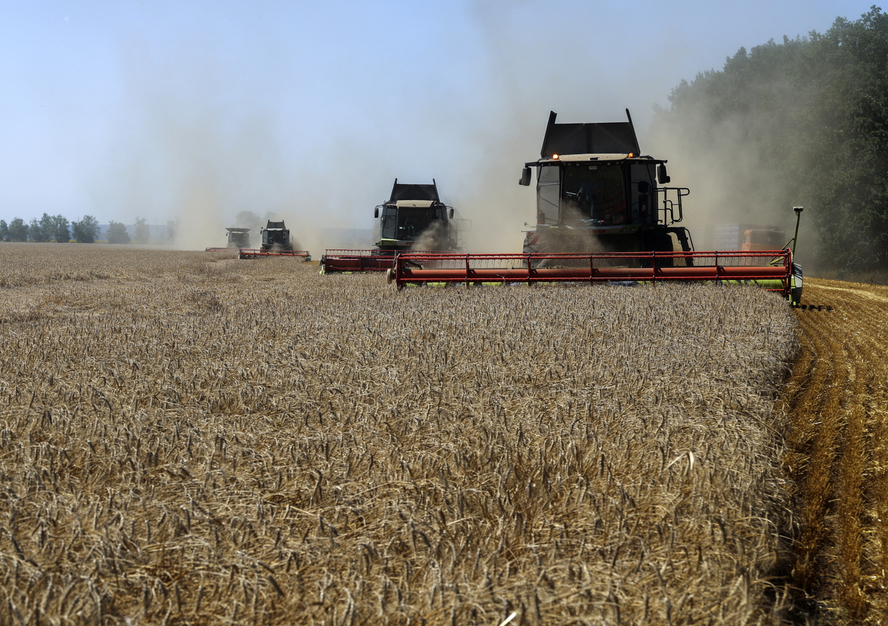 Combine harvesters work on a field in Kharkiv, Ukraine, Aug. 3. (EPA-Yonhap)
