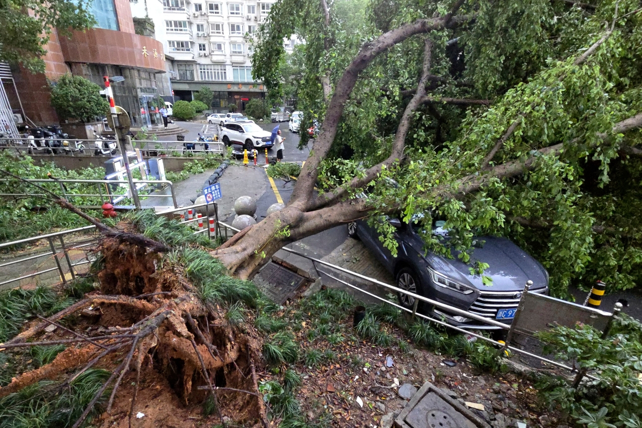 A car is pinned by a fallen tree in the aftermath of Typhoon Dolphin in Wenzhou in eastern China's Zhejiang province, Monday. (AP-Yonhap)