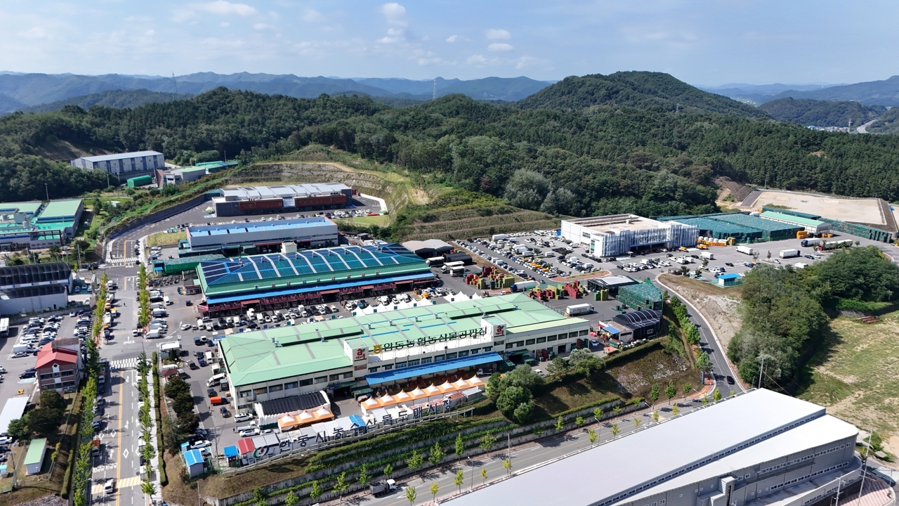 안동시 농수산물도매시장 전경.[안동시 제공]