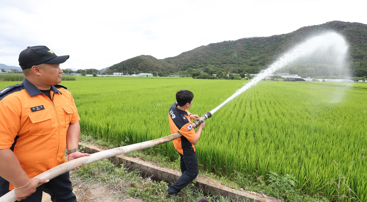 Firefighters spray water onto a rice field with a fire hose in Gasan-ri, Bubuk-myeon, Miryang, South Gyeongsang Province, on Wednesday. (Yonhap)