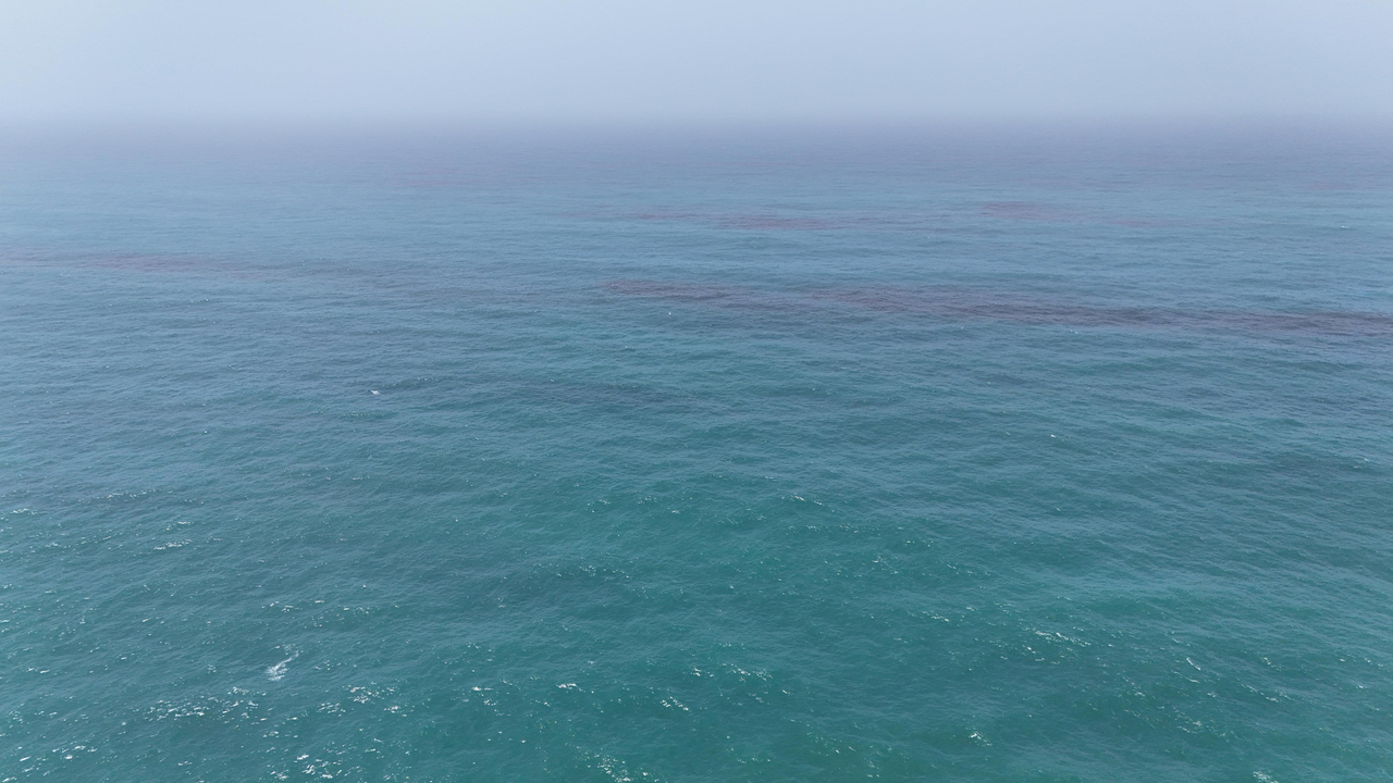 Oil on the sea surface off the coast of Oman, according to the Omani Environment Authority, on Monday (Reuters-Yonhap)
