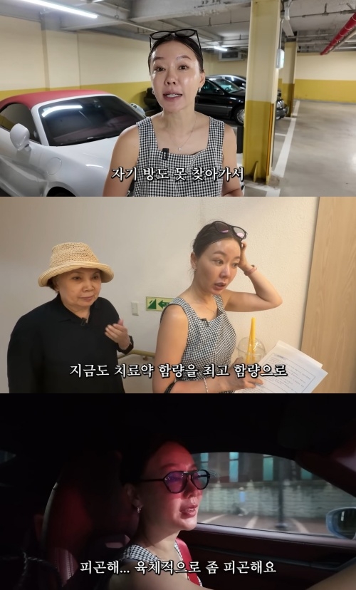 안선영 유튜브 캡처