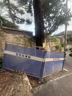 [단독] 환기미술관 “인명피해 방지, 은행나무 제거 요청”…구청 공문 회신 [서울N]