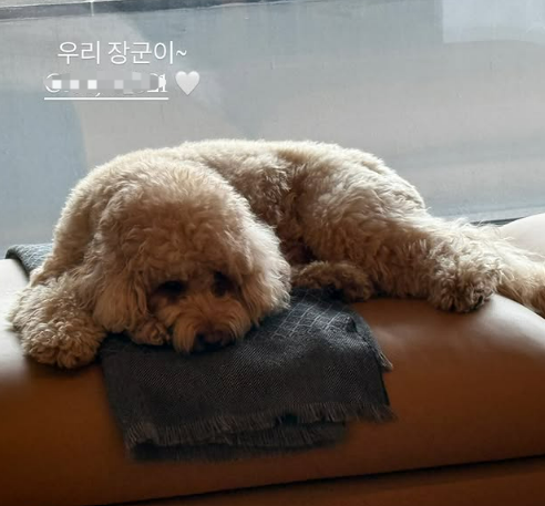 사진=송혜교 채널