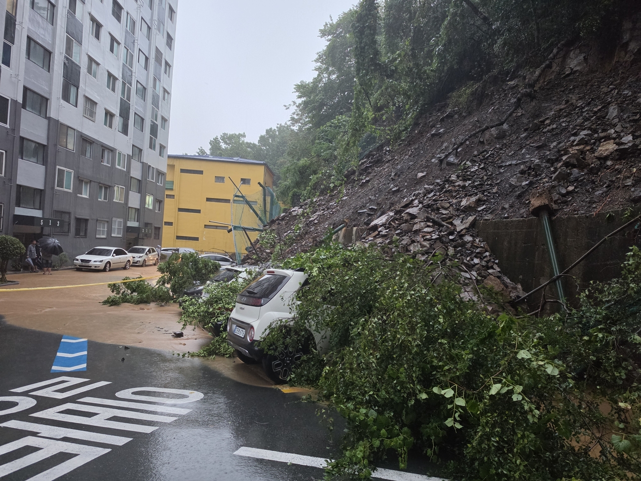 Mud and trees swept over by a landslide cover parked vehicles in a residential area of Geoje, South Gyeongsang Province, on Monday morning. (Yonhap)