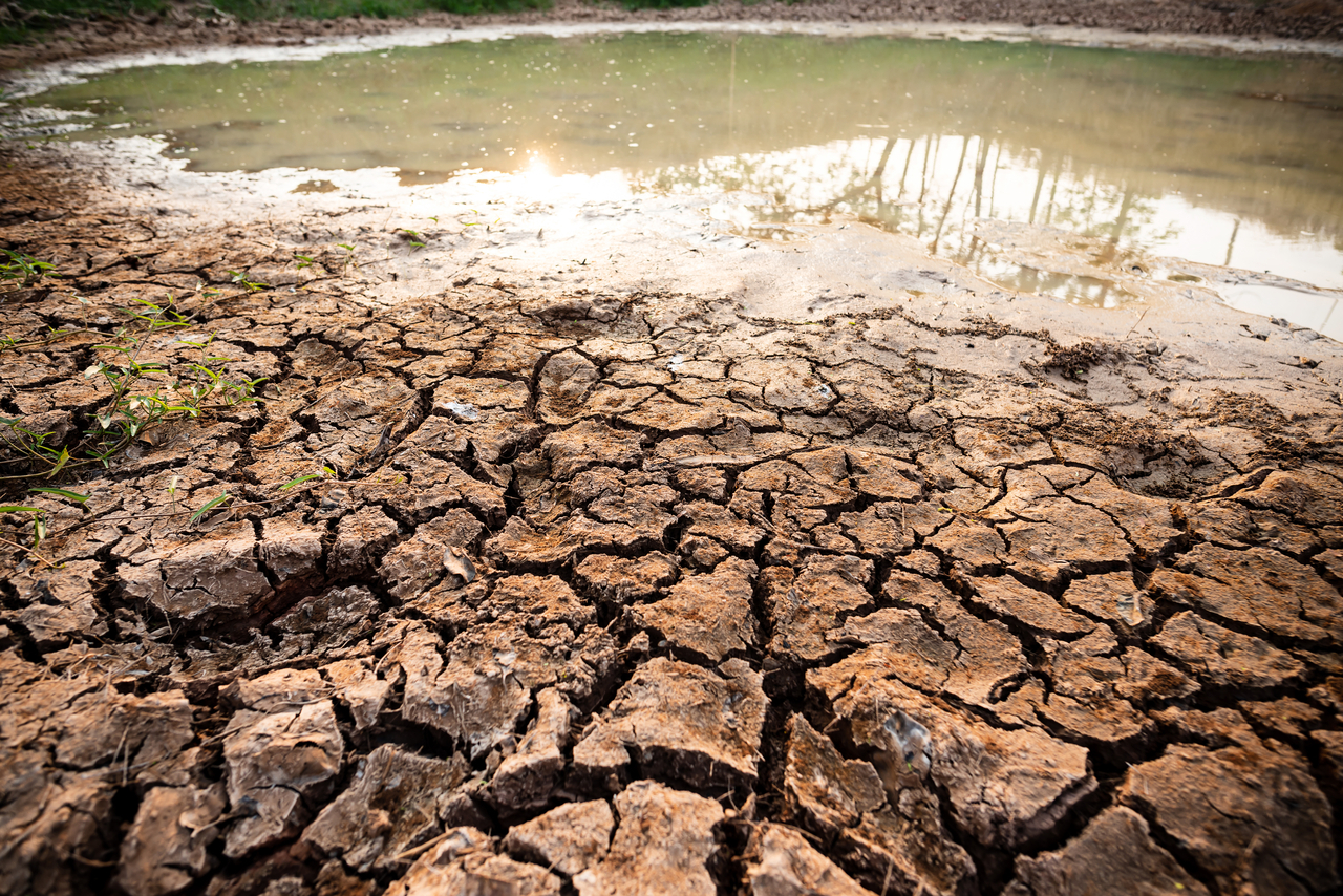 Drought-cracked earth. [Getty Images Bank]