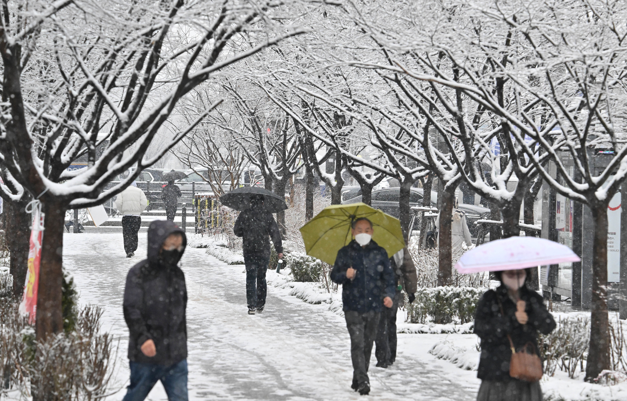 Snow piles up on street trees along Sejong-daero in Jung-gu, Seoul on Tuesday, when a heavy snow advisory was in effect across the greater Seoul area. By Lim Se-jun