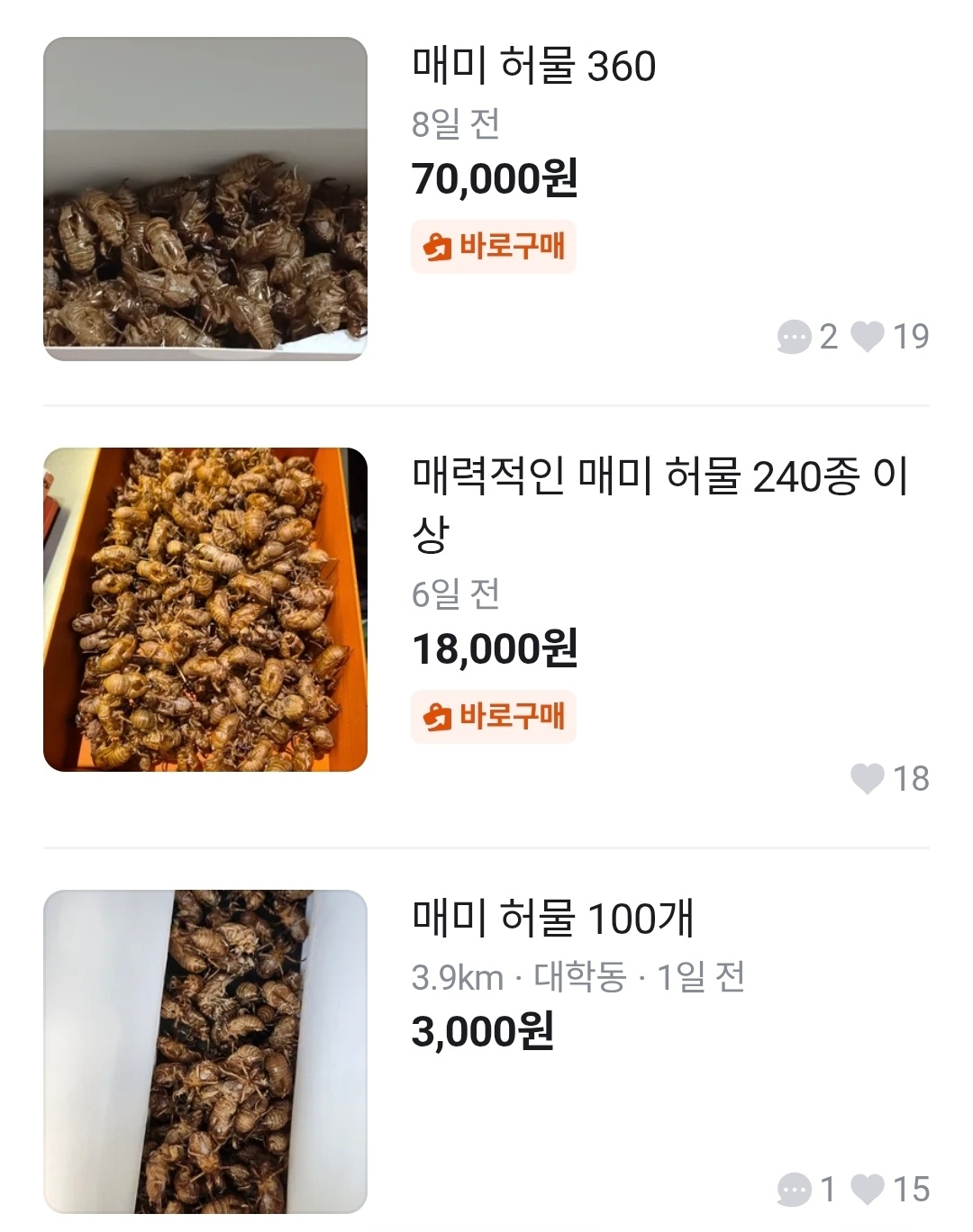 Cicada shells listed on Karrot are priced in lots ranging from a few thousand won to tens of thousands of won, depending on how many are being sold. (Karrot)