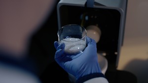 LG전자, 기능성 신소재로 고성에 1.5㎢ ‘바다숲’ 조성