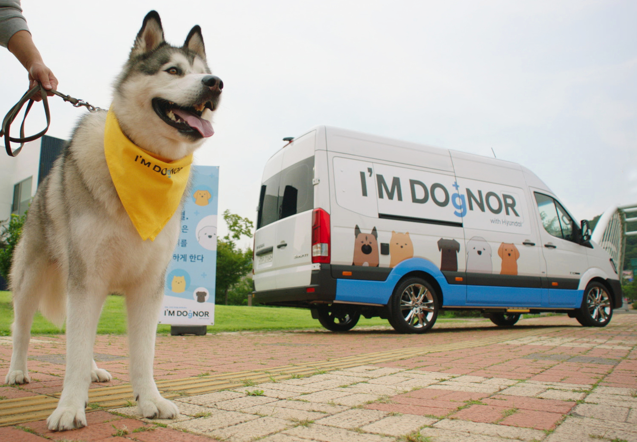 A canine blood donor stands in front of Hyundai Motor’s I’m Dognor mobile blood donation vehicle in this 2023 photo. The vehicle travels to locations across the country to facilitate voluntary blood donations from dogs as part of Hyundai Motor’s campaign to promote a sustainable canine blood donation system. (Hyundai Motor Group)