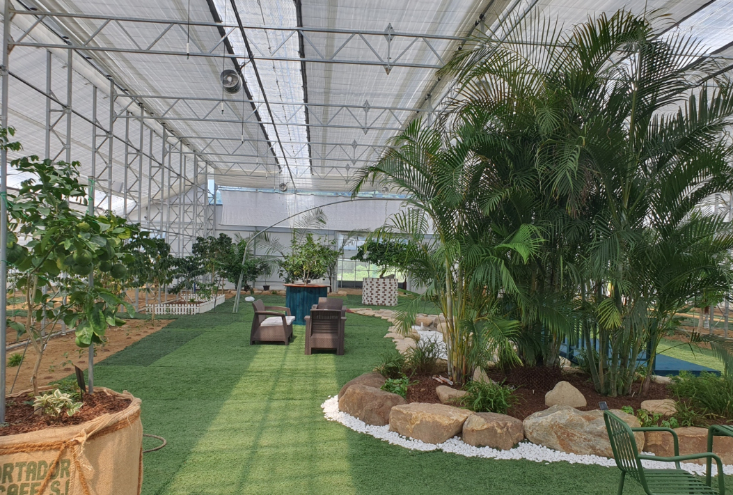 The interior of the Gangneung Coffee Botanical Garden, which opened Thursday.