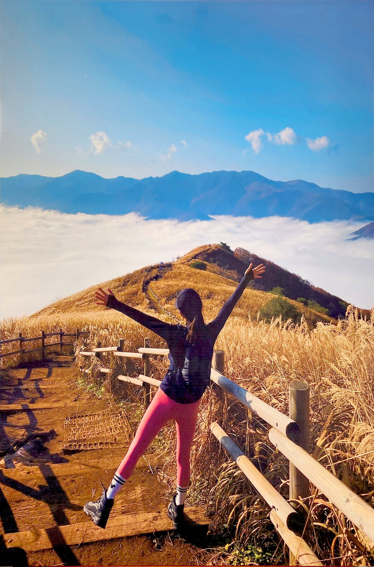 Autumn at Mindungsan in Jeongseon-gun (Provided by the Mindungsan Silver Pampas Grass Festival Committee)