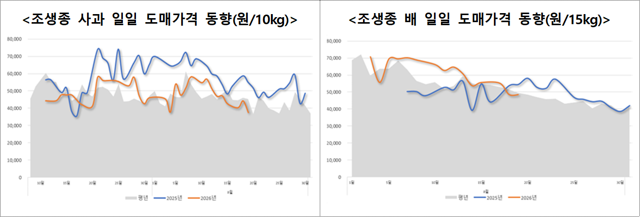 Daily wholesale price trends for major fruits (July–August) [Ministry of Agriculture, Food and Rural Affairs]