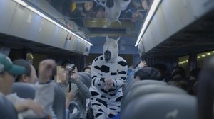 여수 밤바다 ‘시간을 달리는 버스커’ 평일에도 운행된다