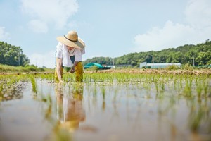 인구 2000명도 안 되는 읍·면, 30년 새 13배 늘어