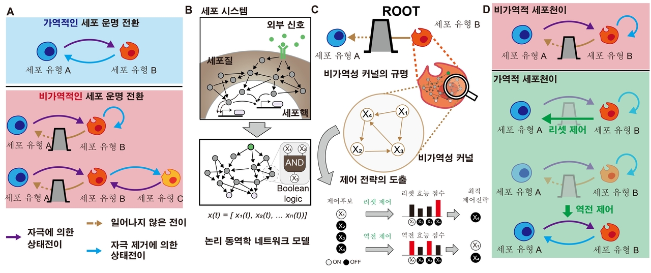 비가역적 세포 상태천이의 원인을 규명하고 제어하는 루트 프레임워크.[KAIST 제공]