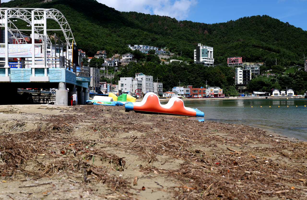 Branches and debris washed ashore by the torrential rains that struck during the Liberation Day holiday are piled across the beach at Deokpo Beach in Okpo-dong, Geoje, South Gyeongsang Province, on Wednesday. [Yonhap]