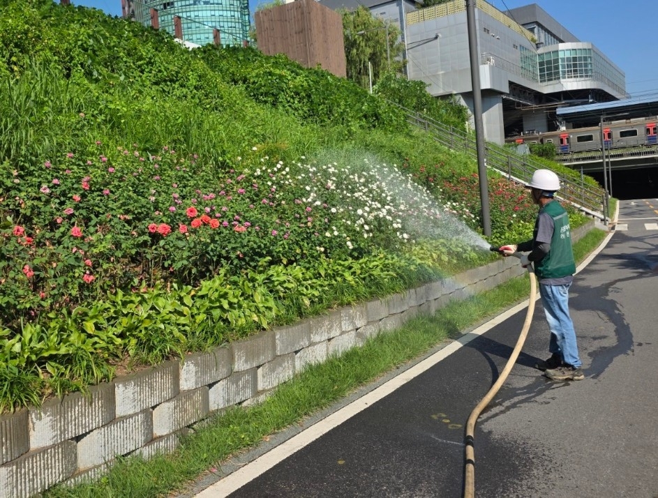 하천변 꽃길 조성