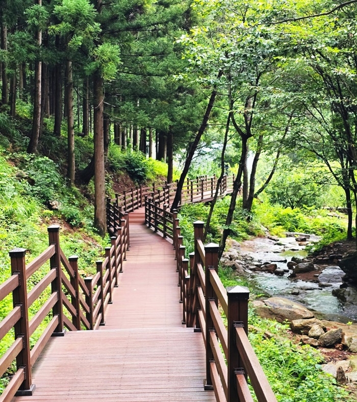 순천시 서면 용계산. [사진 순천시]