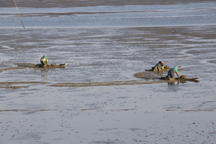 A tidal flat. [Getty Images Bank]