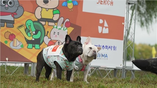 지난해 10월 열린 ‘2025 제2회 동물행복페스타’에 참가한 반려견들. [서울시 제공]