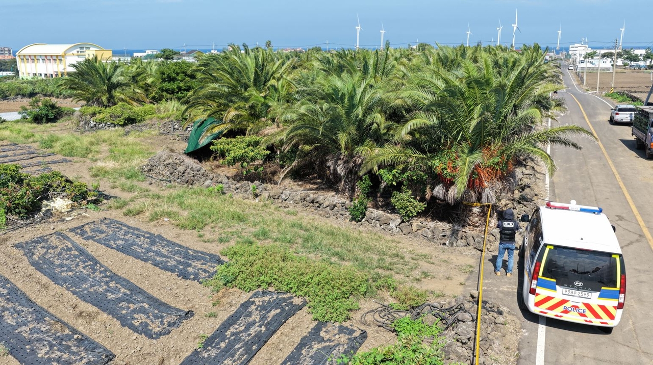 This photo taken Wednesday shows the palm tree farm on Jeju Island where the body of Jang Mi-ran, a 37-year-old woman reported missing in May, was found on Monday. (Yonhap)