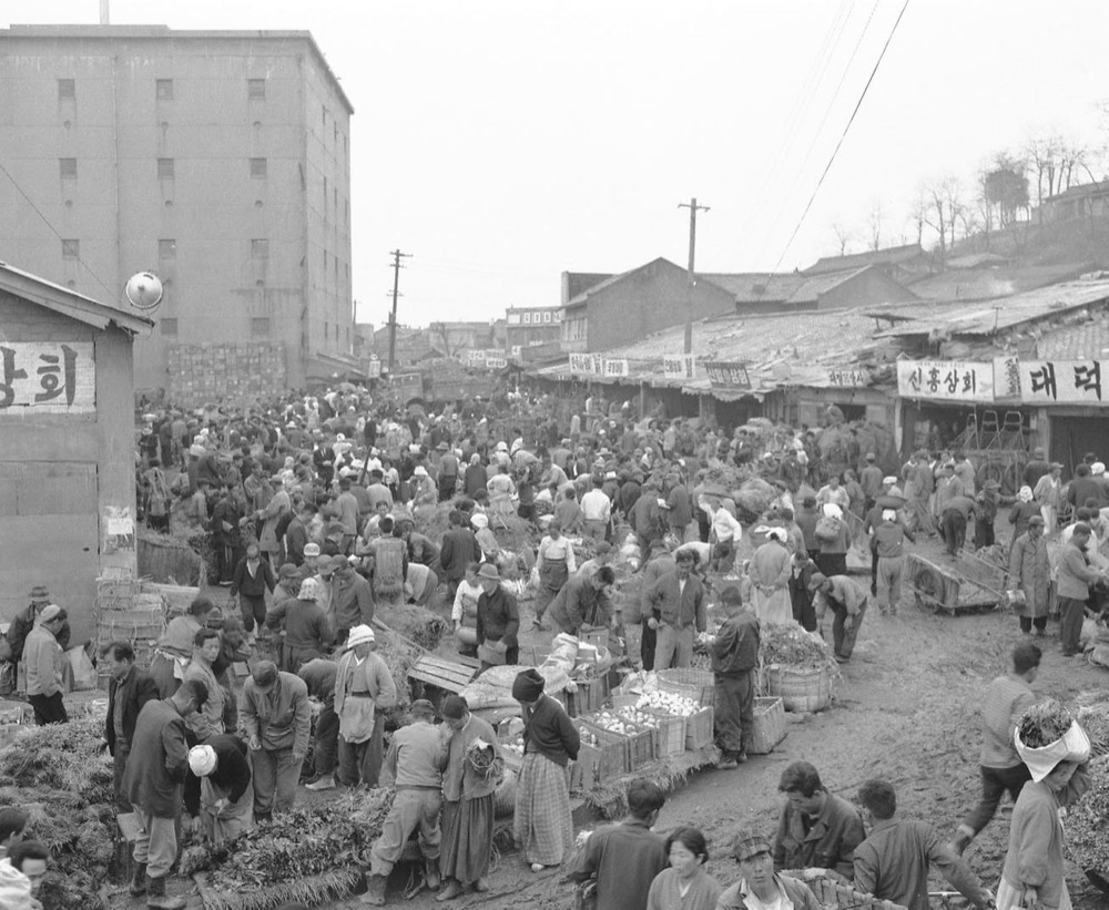도모다 쓰네히로가 일본으로 귀국한 시기인
1960년대 초 서울 동대문구 청량리 청과시장 전경.
[서울시 자료]