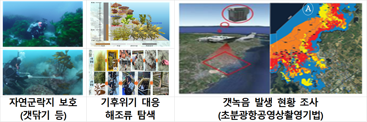 자연 해조류 군락지 보호와 기후위기 대응 해조류 탐색, 초분광 항공영상 촬영기법을 활용한 갯녹음 발생 현황 조사 모습. [해양수산부 제공]