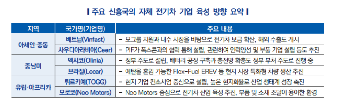 주요 신흥국의 자체 전기차 기업 육성 방향 요약 [자동차연구원 제공]