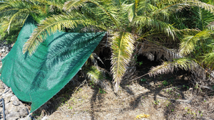 한동훈 “경찰 허위 종결 반복…내부 감시 작동 않는 것” [이런정치]