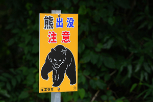 “사람 13명 죽자 곰 1만4000마리 죽였다”...日 초유의 ‘곰과의 전쟁’[나우,어스]