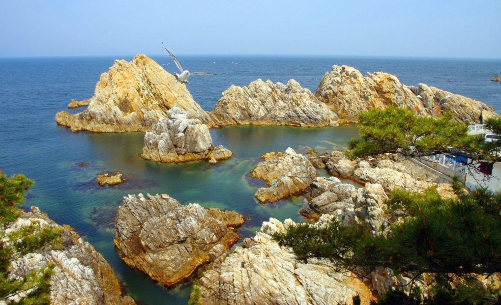 삼척 장호해변