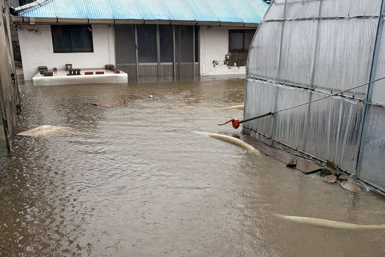 The yard of a home in Yeonggwang, South Jeolla Province, is flooded Monday morning. The county had received 344 millimeters of rain as of 9 a.m. (Jeonnam Gwangju Fire Service-Yonhap)