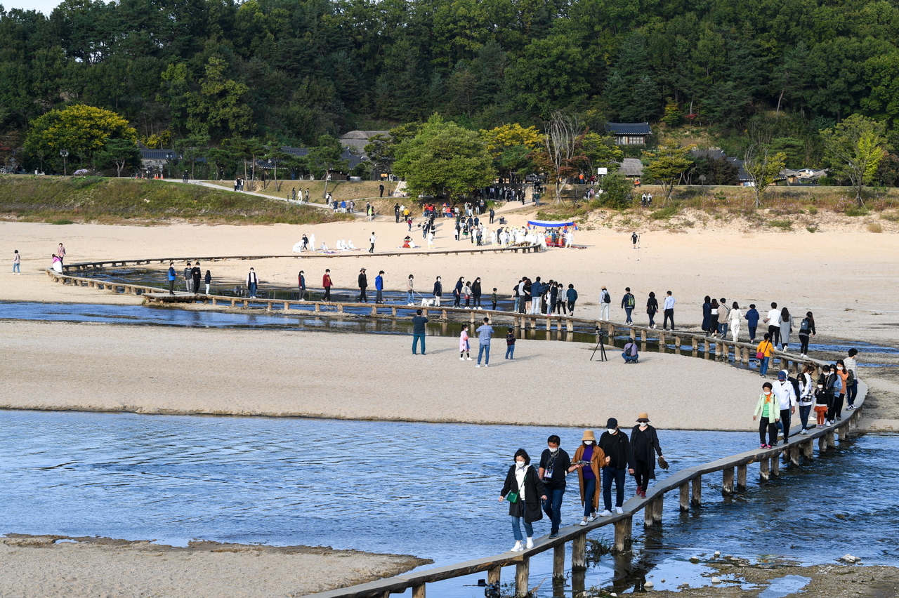 무섬마을 외나무다리 전경.[영주시 제공]