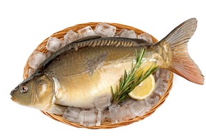 가을 전어·향어 맛보고 화성·서천 어촌으로…9월 ‘이달의 바다’ 선정
