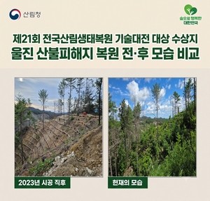 산불 피해목, 숲을 되살리는 재료로 ‘리사이클링’