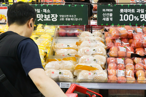 추석 성수품 18.3만톤 역대 최대 공급…명절자금 43.4조 푼다[추석민생대책]
