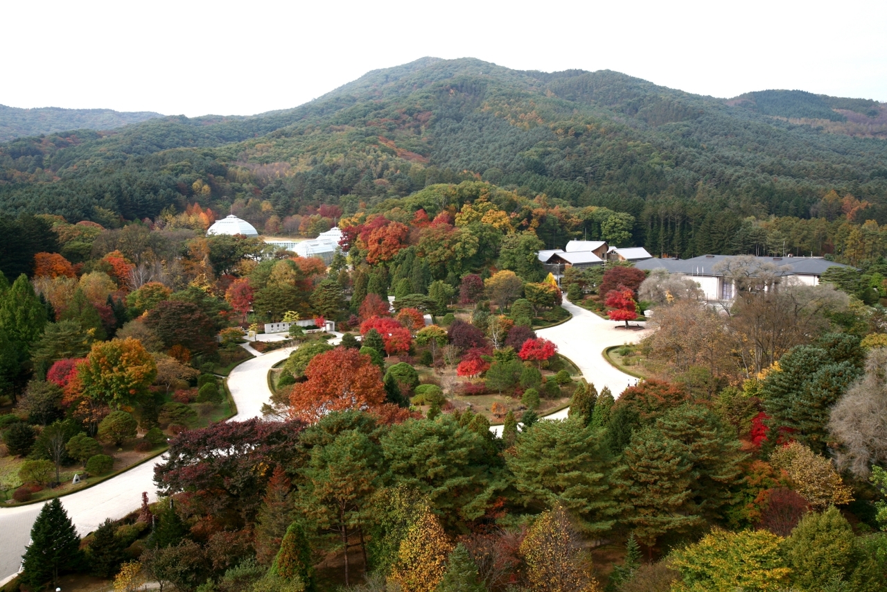 An aerial view of Gwangneung Forest, officially listed as an OECM in the World Database of Protected Areas and Conservation Areas.