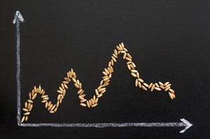 농산물 물가 6.7%↓…폭염·강우에도 두 달 연속 하락